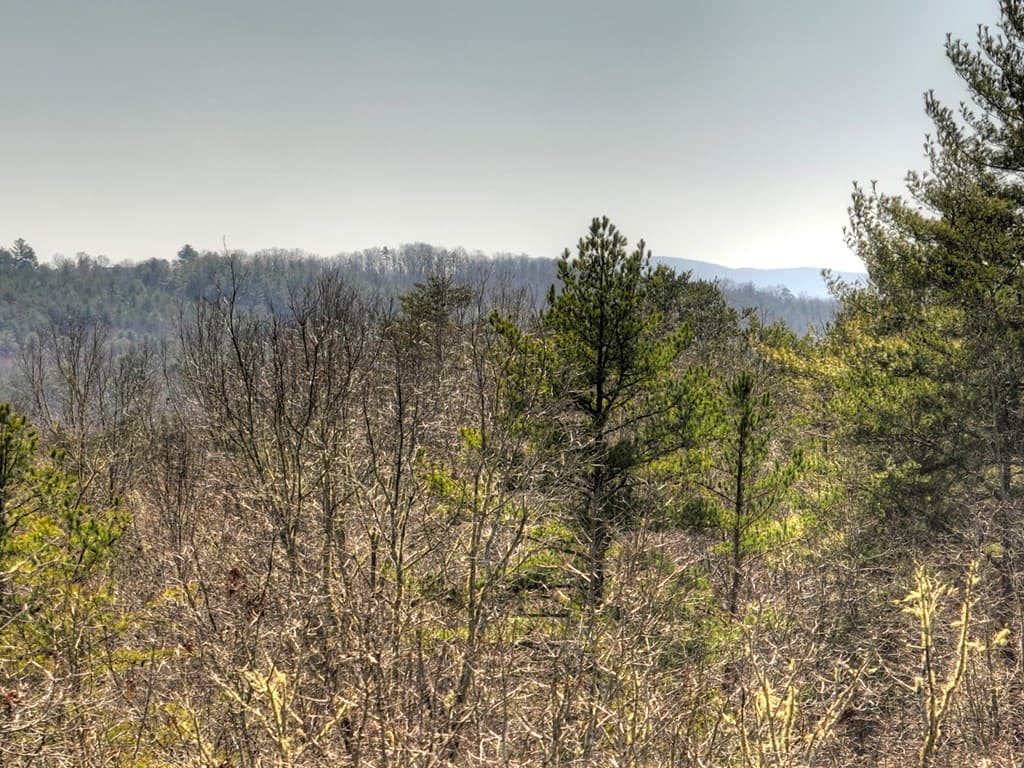 48.4ac Lofty Heights, Mineral Bluff GA 30559 - Photo