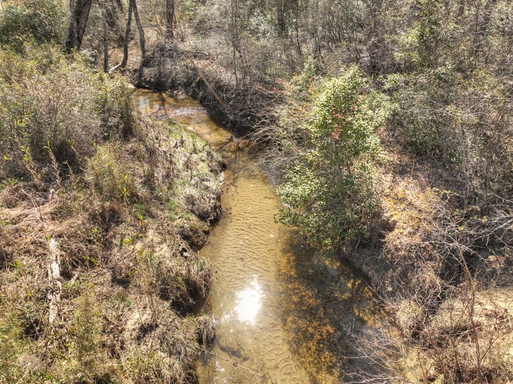 48.4ac Lofty Heights, Mineral Bluff GA 30559 - Photo