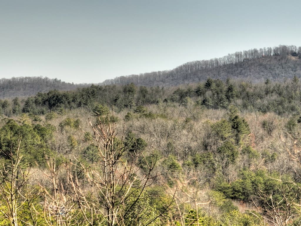 48.4ac Lofty Heights, Mineral Bluff GA 30559 - Photo