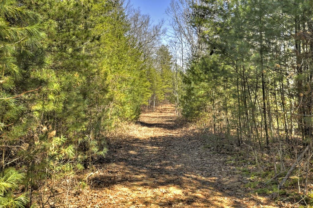 48.4ac Lofty Heights, Mineral Bluff GA 30559 - Photo