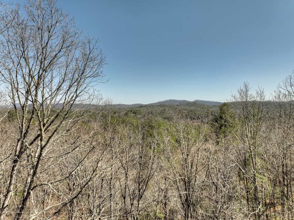 48.4ac Lofty Heights, Mineral Bluff GA 30559 - Photo