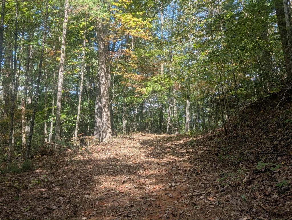5.47 Ac Sierra Run, Blairsville GA 30512 - Photo