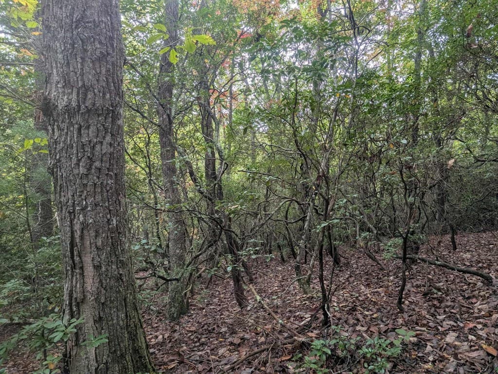5.47 Ac Sierra Run, Blairsville GA 30512 - Photo