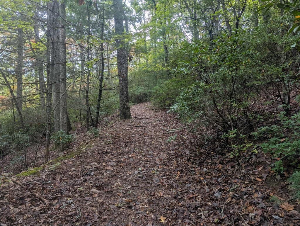 5.47 Ac Sierra Run, Blairsville GA 30512 - Photo
