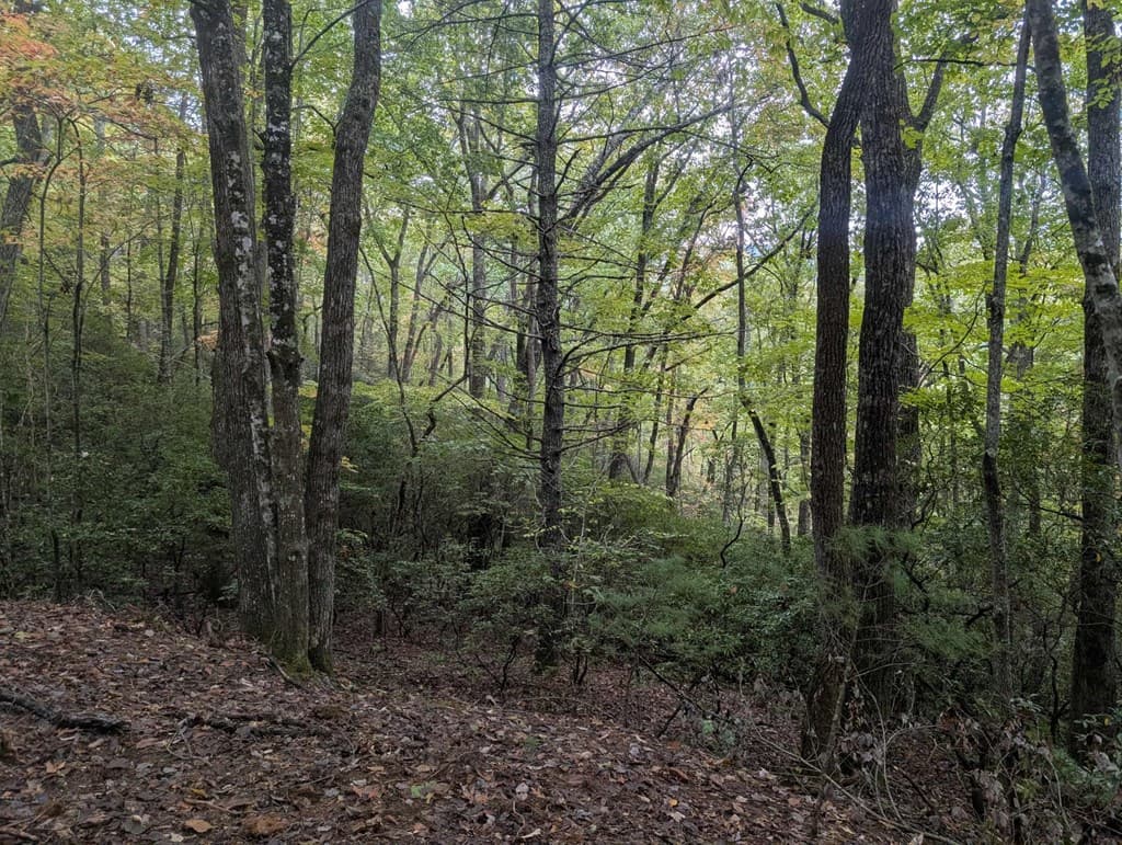 5.47 Ac Sierra Run, Blairsville GA 30512 - Photo
