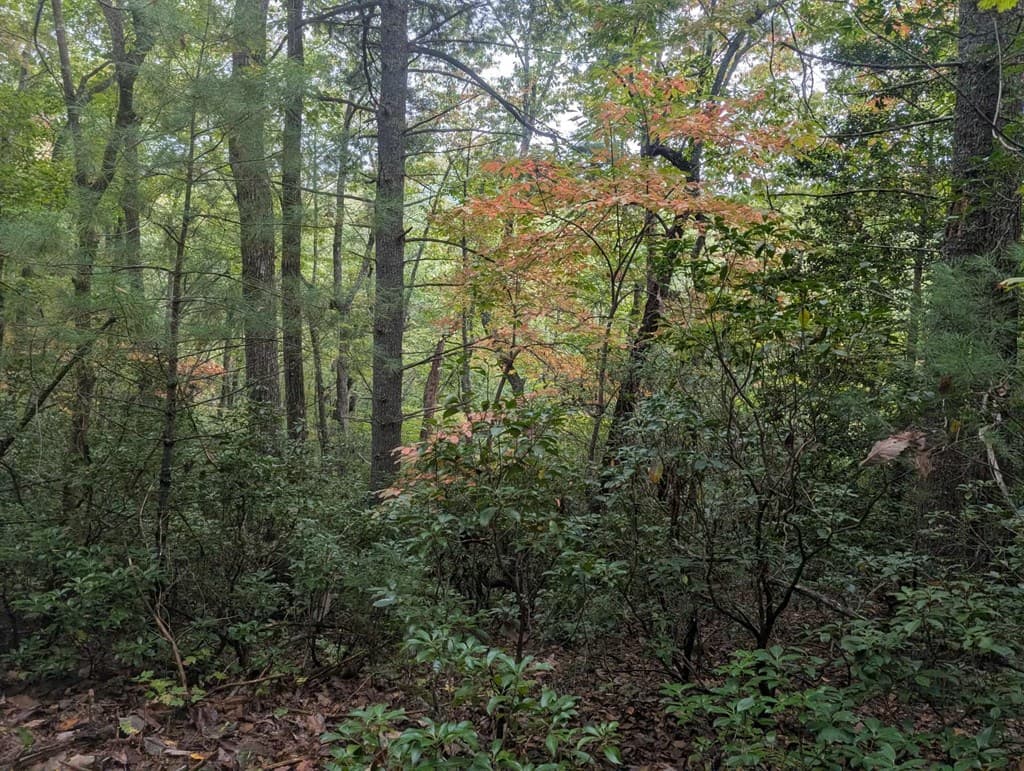 5.47 Ac Sierra Run, Blairsville GA 30512 - Photo