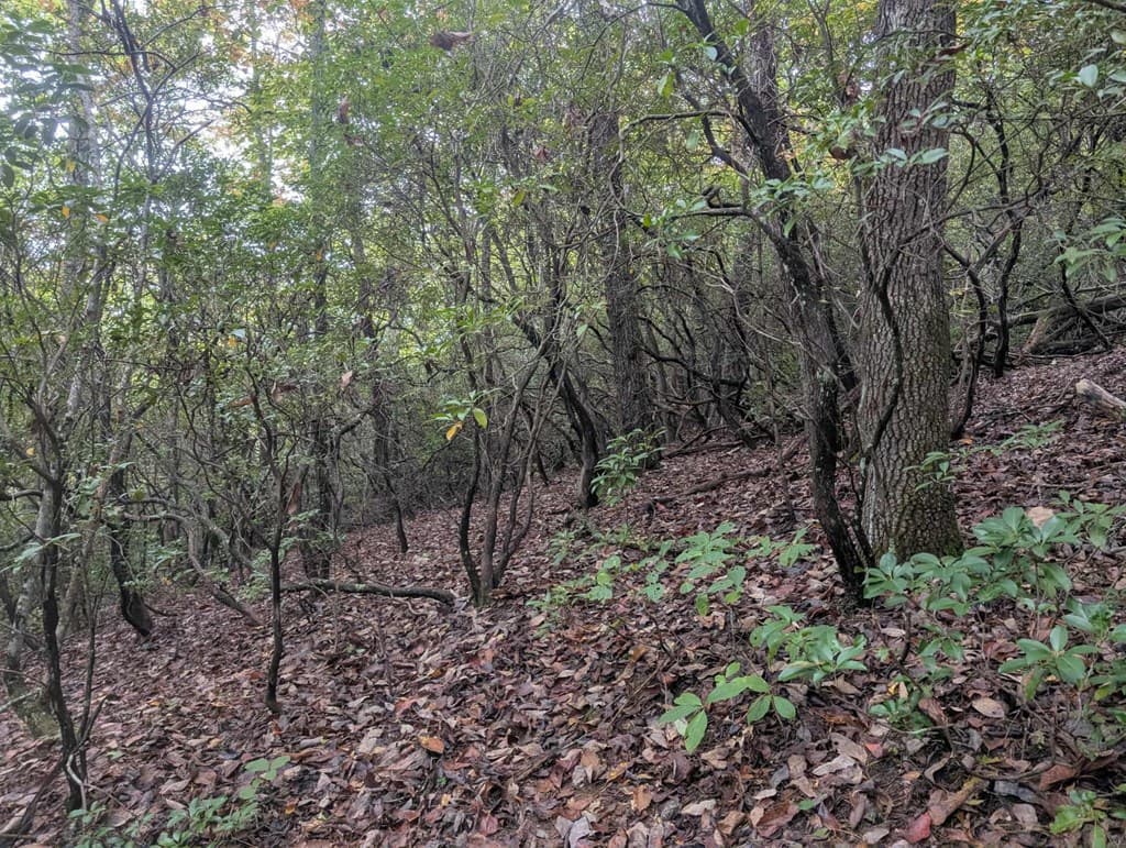 5.47 Ac Sierra Run, Blairsville GA 30512 - Photo