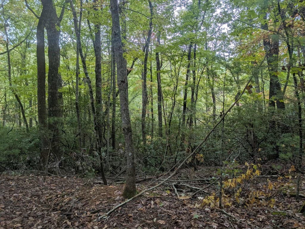 5.47 Ac Sierra Run, Blairsville GA 30512 - Photo