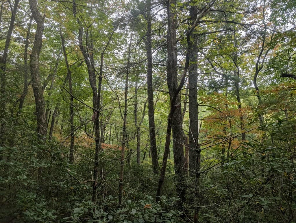 5.47 Ac Sierra Run, Blairsville GA 30512 - Photo