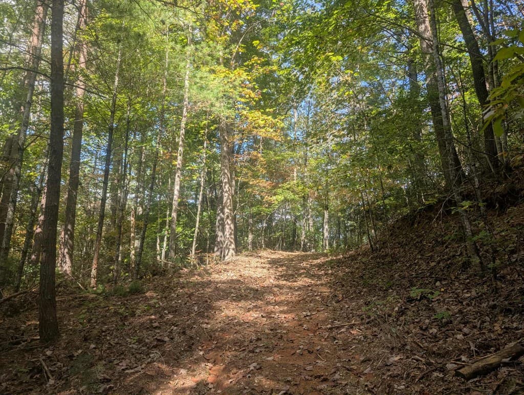 5.47 Ac Sierra Run, Blairsville GA 30512 - Photo