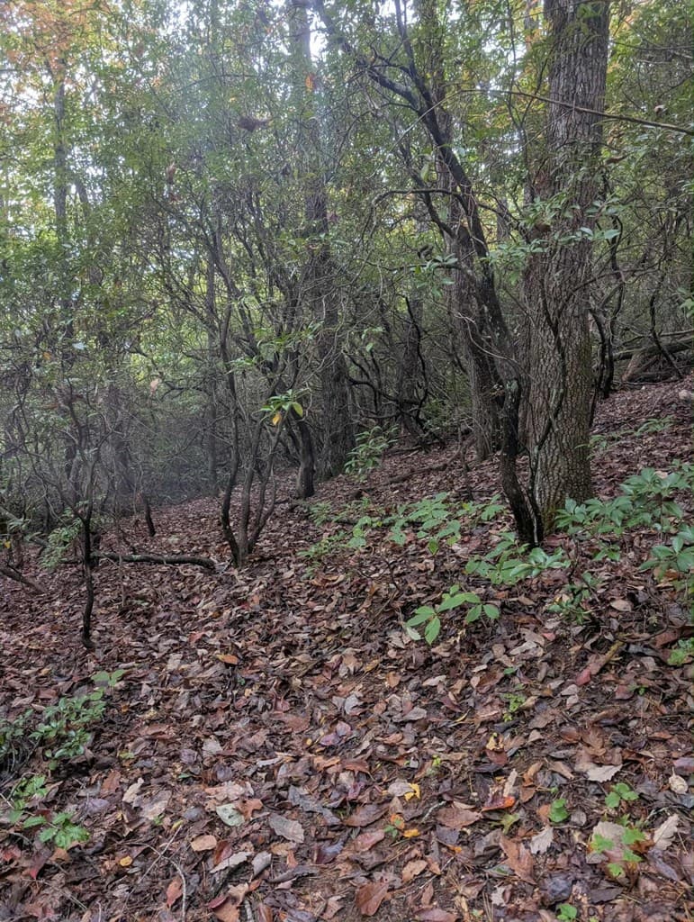 5.47 Ac Sierra Run, Blairsville GA 30512 - Photo
