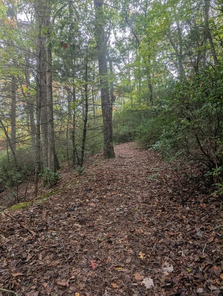 5.47 Ac Sierra Run, Blairsville GA 30512 - Photo