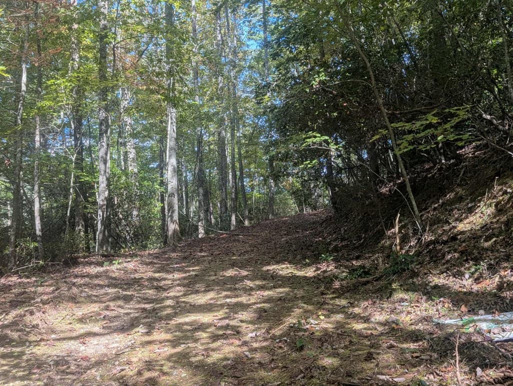 5.47 Ac Sierra Run, Blairsville GA 30512 - Photo