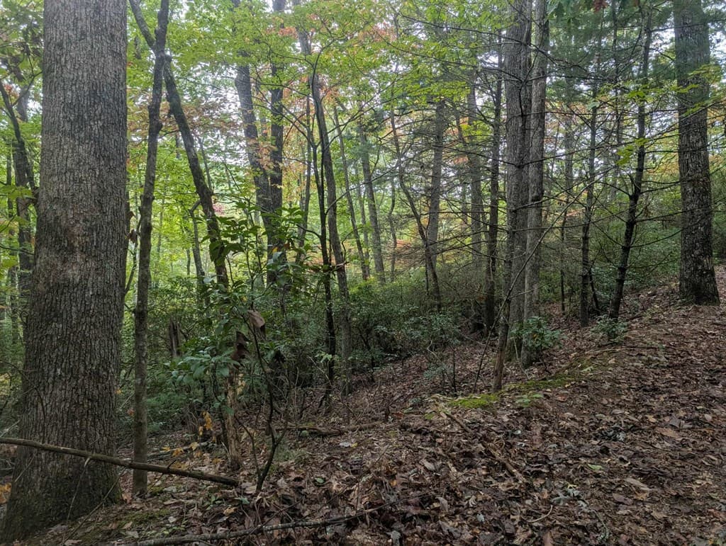 5.47 Ac Sierra Run, Blairsville GA 30512 - Photo