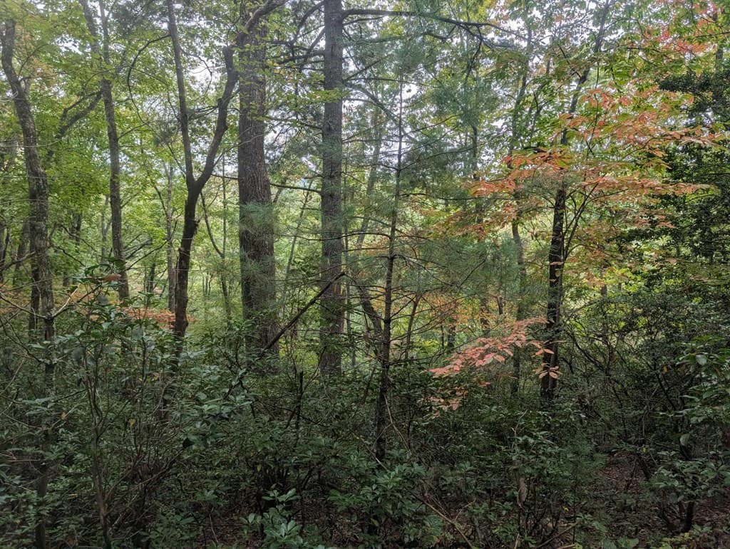 5.47 Ac Sierra Run, Blairsville GA 30512 - Photo