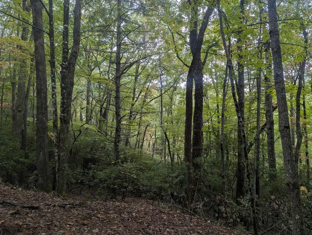 5.47 Ac Sierra Run, Blairsville GA 30512 - Photo