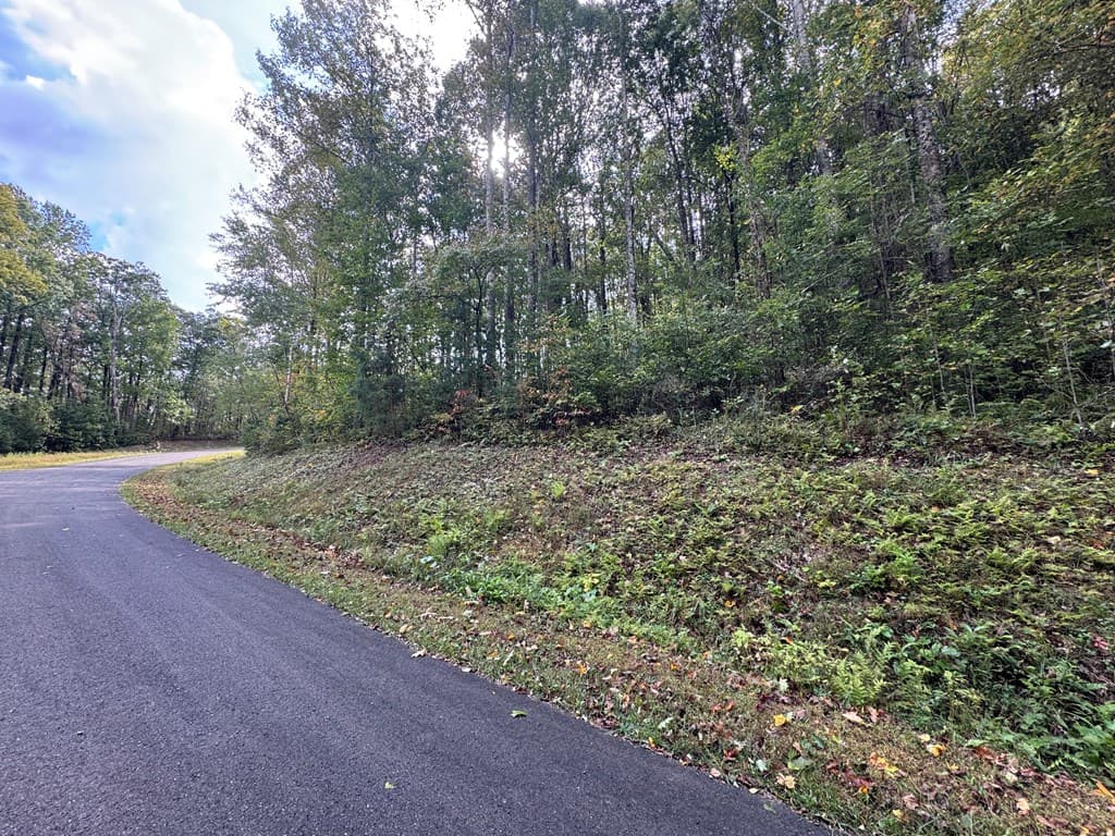 174 Trailwood, Ellijay GA 30536 - Photo