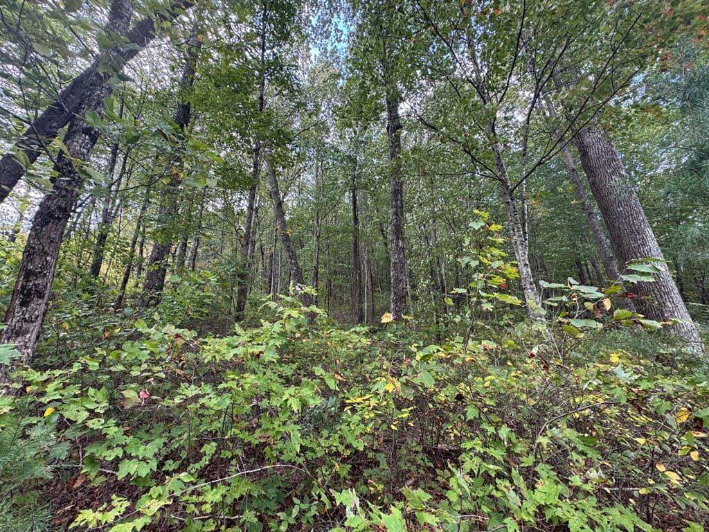 174 Trailwood, Ellijay GA 30536 - Photo