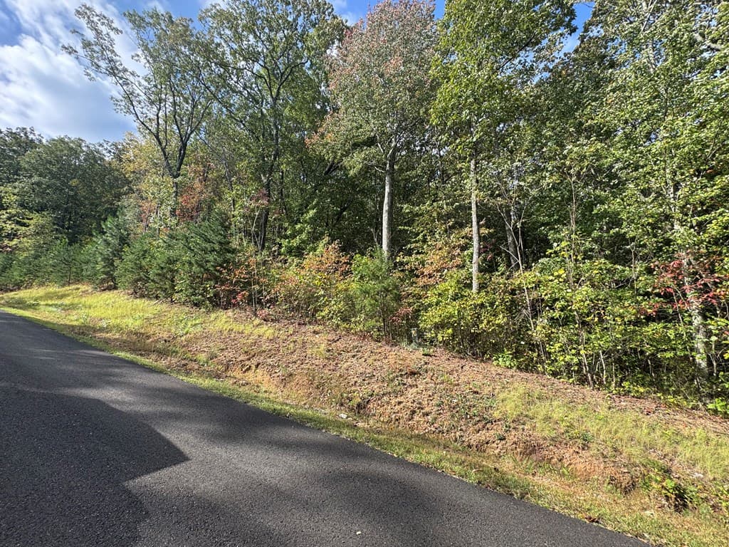 174 Trailwood, Ellijay GA 30536 - Photo