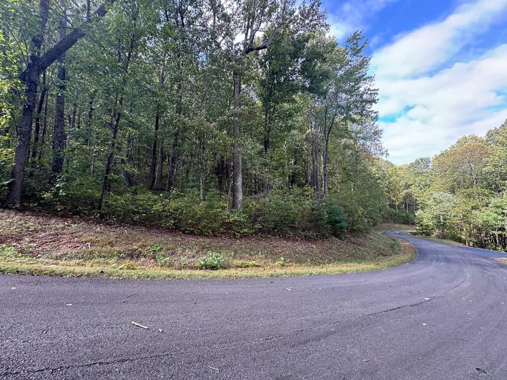 174 Trailwood, Ellijay GA 30536 - Photo