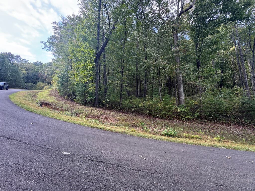 174 Trailwood, Ellijay GA 30536 - Photo