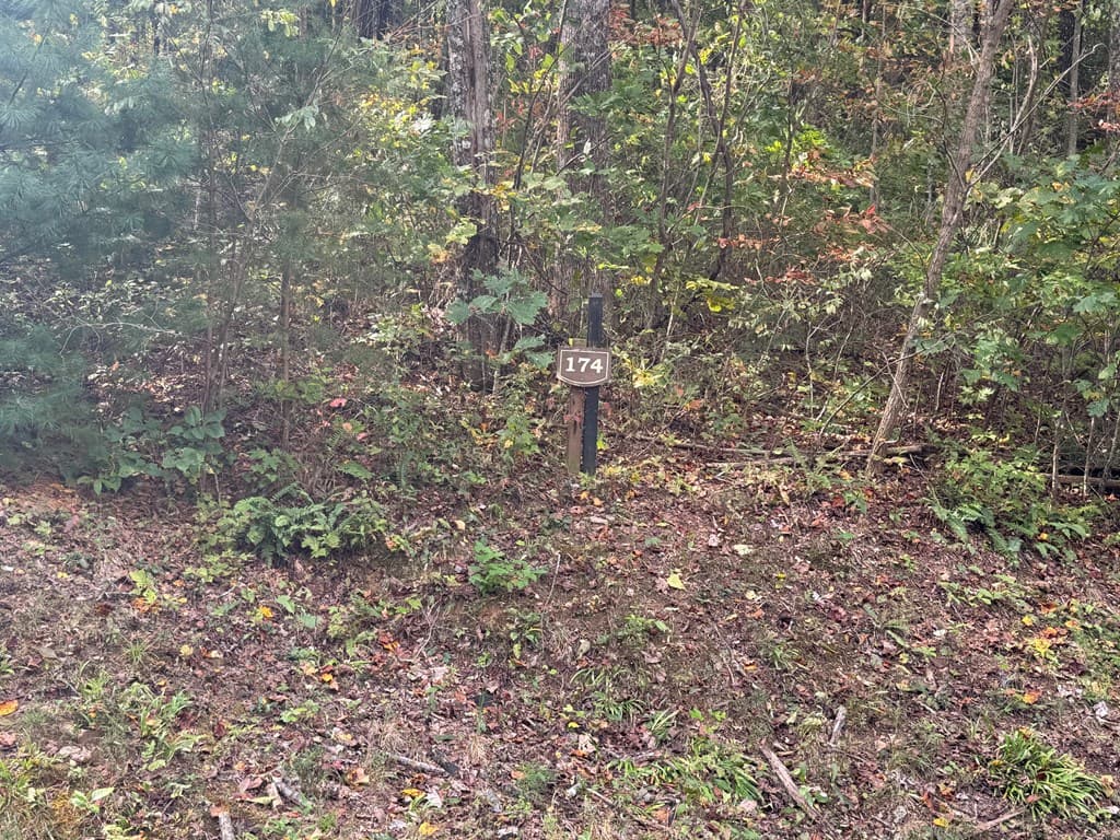 174 Trailwood, Ellijay GA 30536 - Photo
