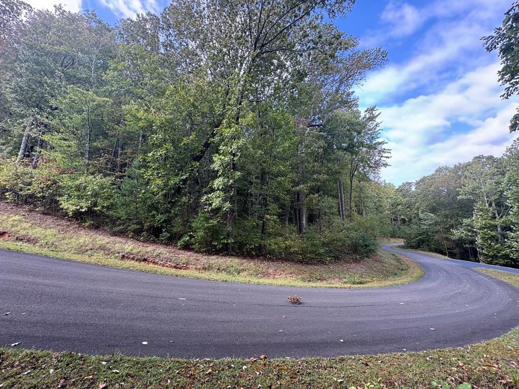 174 Trailwood, Ellijay GA 30536 - Photo