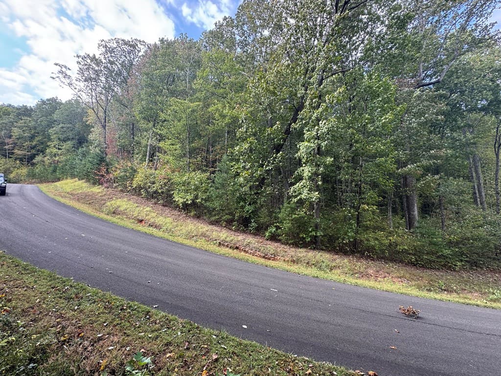 174 Trailwood, Ellijay GA 30536 - Photo