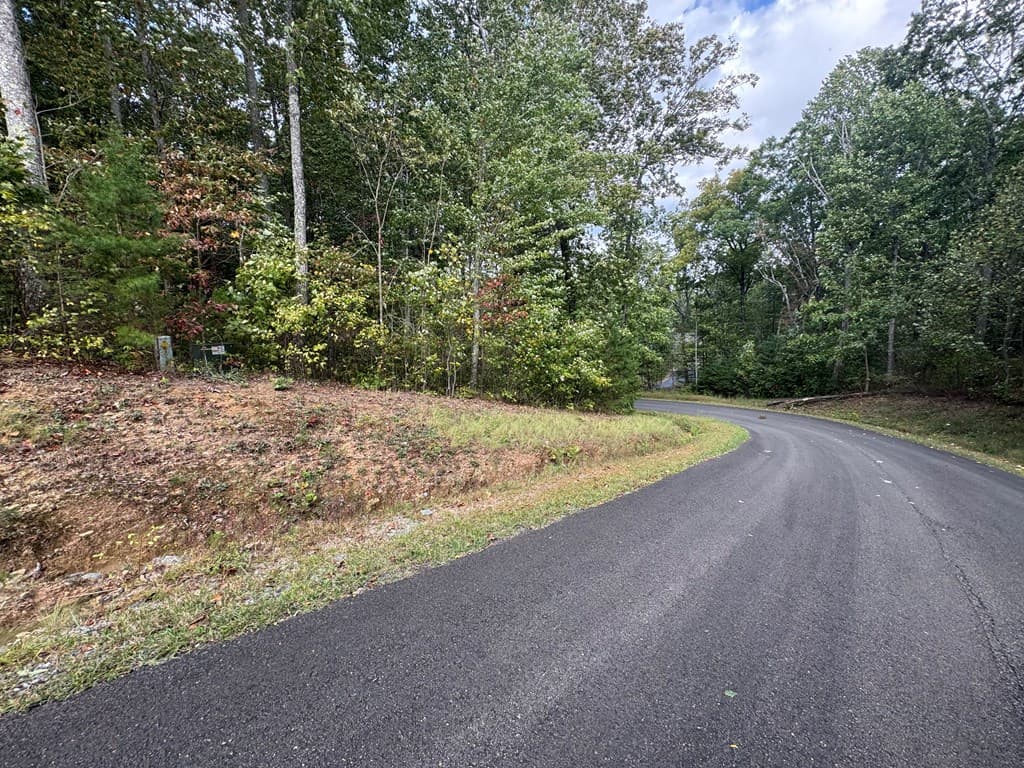 174 Trailwood, Ellijay GA 30536 - Photo