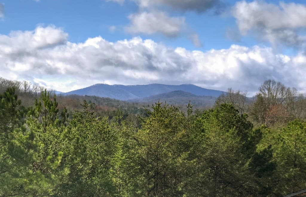 Unit 7 Grove Loop, Blue Ridge GA 30513 - Photo