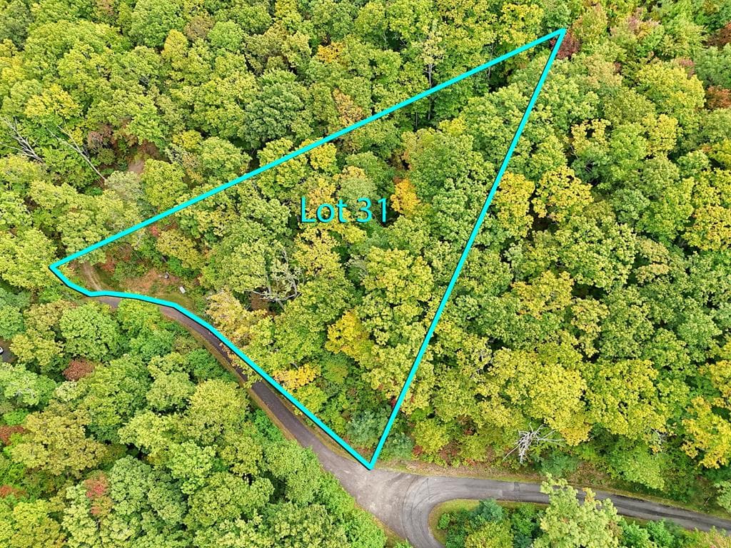 Lot 31 Skyview Drive, Hayesville NC 28904 - Photo