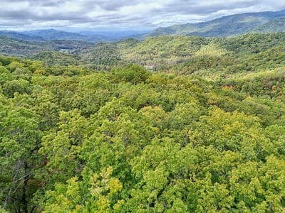 Lot 31 Skyview Drive, Hayesville NC 28904 - Photo