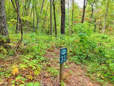Lot 31 Skyview Drive, Hayesville NC 28904 - Primary photo