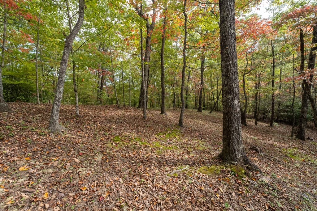 891 Deerfield, Clayton GA 30525 - Photo