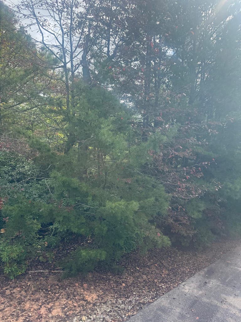 Lot 16 Brown Hawk, Clayton GA 30525 - Photo
