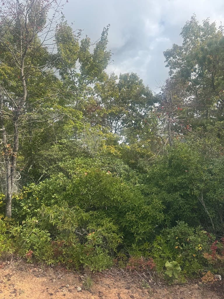 Lot 16 Brown Hawk, Clayton GA 30525 - Photo