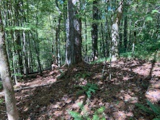 Lot 278 Guidon, Ellijay GA 30540 - Photo