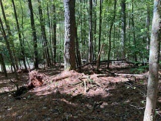 Lot 278 Guidon, Ellijay GA 30540 - Photo