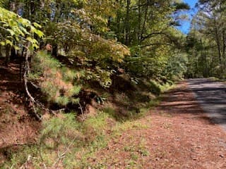 Lot 278 Guidon, Ellijay GA 30540 - Photo