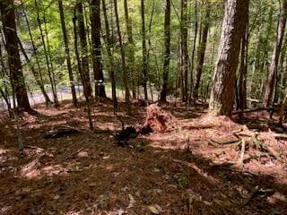 Lot 278 Guidon, Ellijay GA 30540 - Primary photo