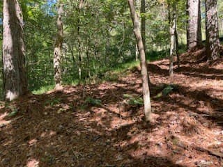 Lot 278 Guidon, Ellijay GA 30540 - Photo