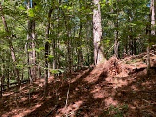 Lot 278 Guidon, Ellijay GA 30540 - Photo
