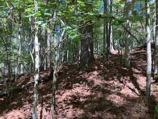 Lot 278 Guidon, Ellijay GA 30540 - Photo