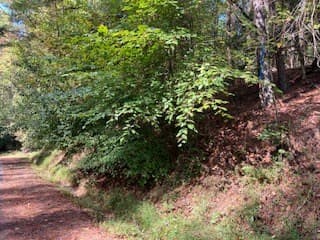 Lot 278 Guidon, Ellijay GA 30540 - Photo