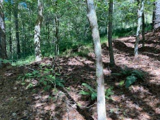 Lot 278 Guidon, Ellijay GA 30540 - Photo