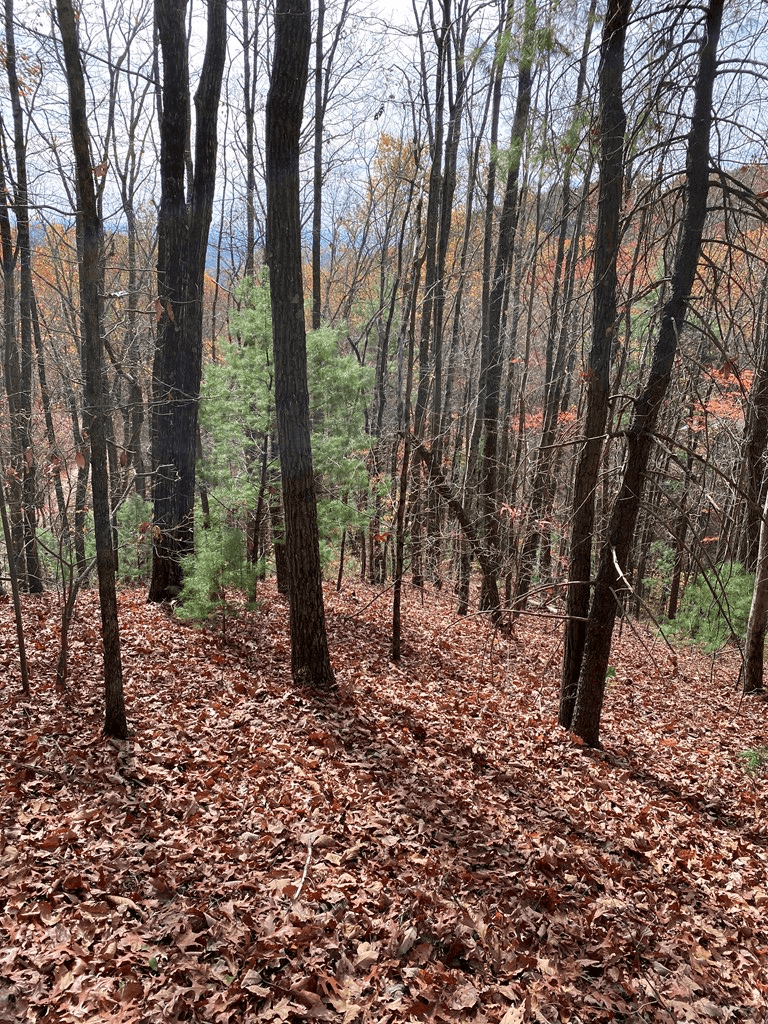 L334 335 Brushy Top Drive, Ellijay GA 30540 - Photo