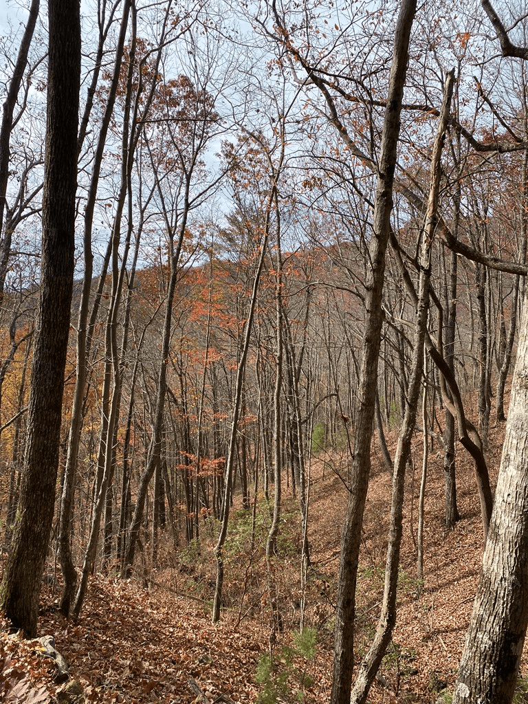L334 335 Brushy Top Drive, Ellijay GA 30540 - Photo
