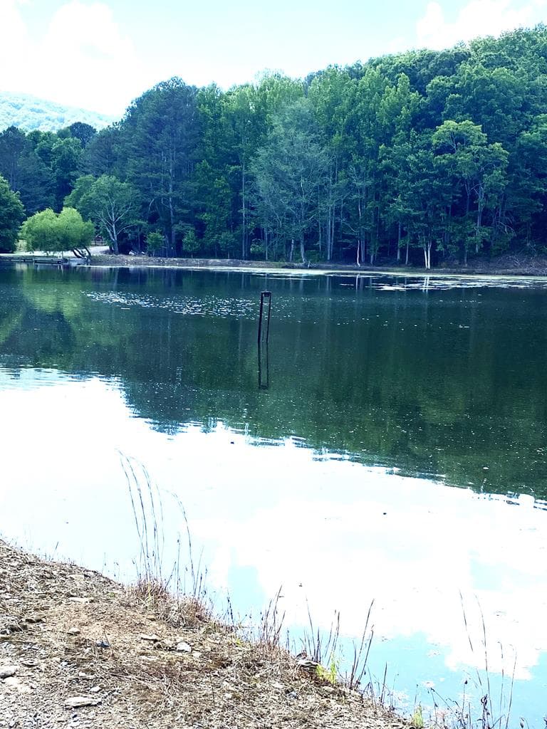L334 335 Brushy Top Drive, Ellijay GA 30540 - Photo