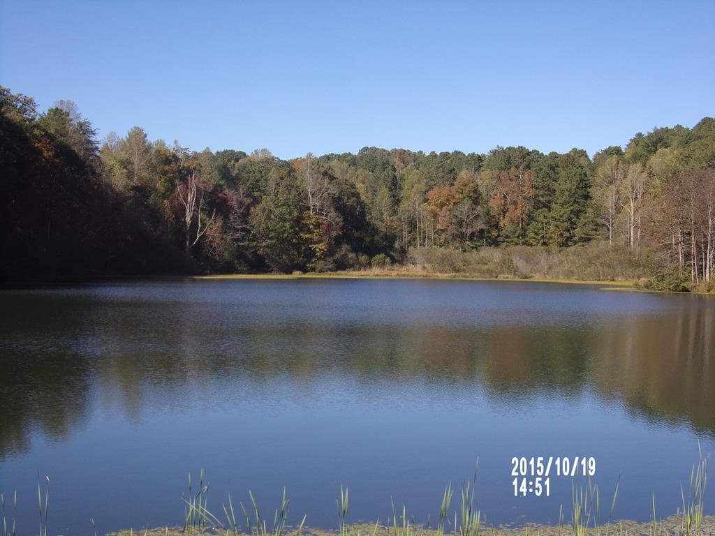 L334 335 Brushy Top Drive, Ellijay GA 30540 - Photo