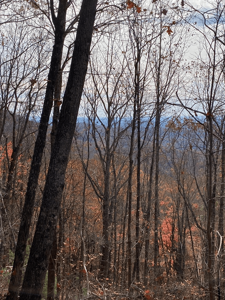 L334 335 Brushy Top Drive, Ellijay GA 30540 - Photo